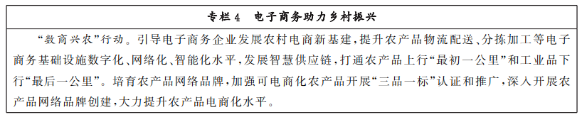 商务部 中央网信办 发KAIYUN平台展改革委关于印发《“十四五”电子商务发展规划》的通知(图6)