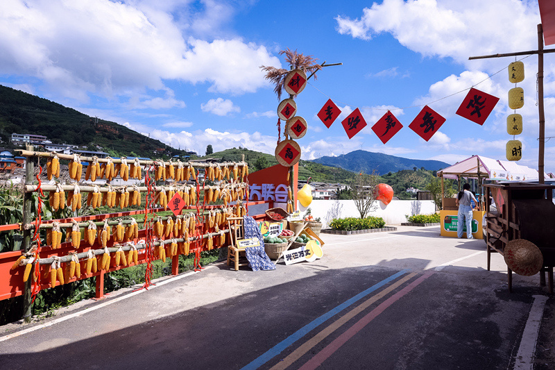 抖音电商丰收嘉年华kaiyun：洞见传统农企电商化升级金钥匙(图1)