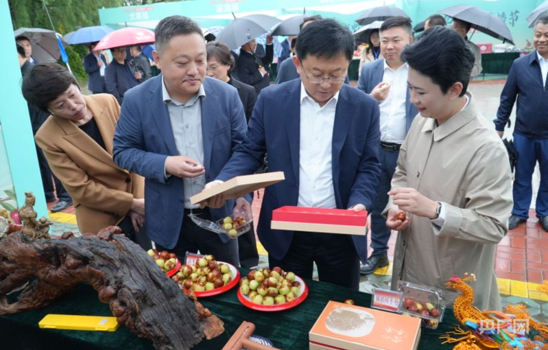 打造冬枣直播闭环产业链 沾化电商直播嘉年华正式启动(图3)
