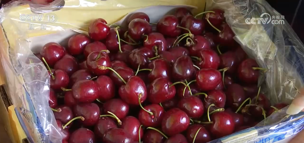 从前10个月网上零售额看消费市场活力十足 “电商+产业带”打造消费新引擎(图3)